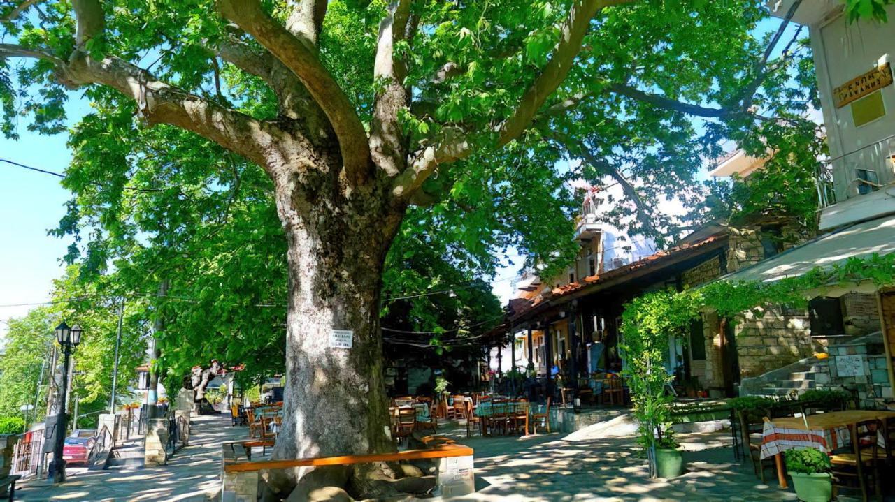 Rapsani Panorama Villa Exterior foto